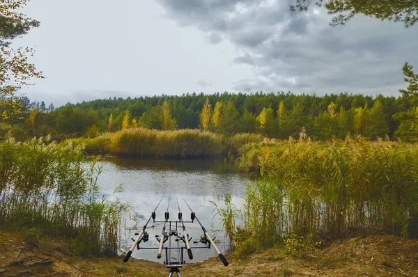 Visserij Plaats Met Staven Lake Bos — Stockfoto