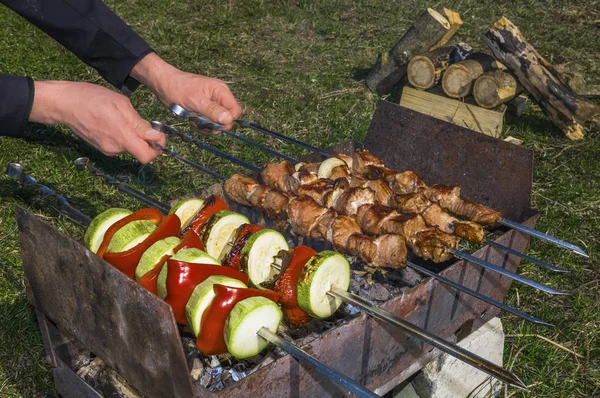 Piknik Weekend Charakter Sprzęt Grillowania Mięsa Warzyw — Zdjęcie stockowe