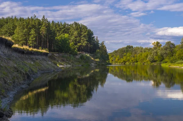 Schöner Fluss Grünen Wald Landschaft Mit Bewölktem Himmel — Stockfoto