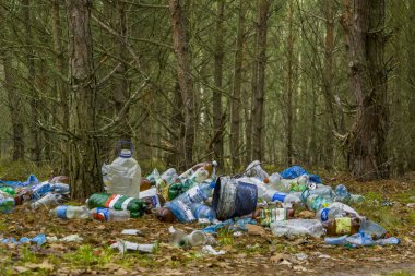Rusya, Moskova - 25 Kasım 2017. Ekolojik kriz. Farklı çöp ve ormanın içinde bir yere çöp