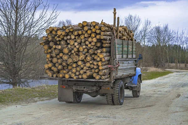 Přeprava Dřevěných Hranolů Autem Protokolování Dirti Silnici Lese — Stock fotografie