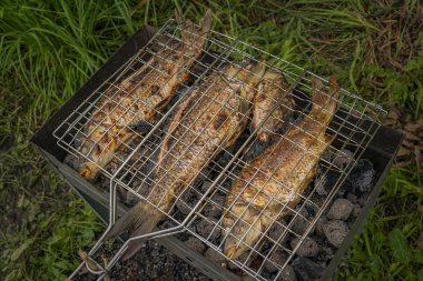 Taze balık ızgara kavrulmuş. Barbekü üzerinde pişmiş sazan