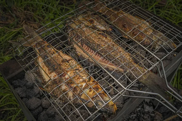 Жареная на гриле свежая рыба. Карп испек на барбекю — стоковое фото
