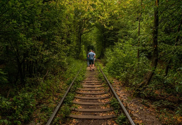 People walk along abandoned rails in green forest