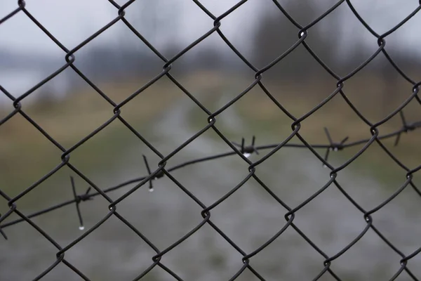 Cerca de arame farpado sobre fundo de caminho desfocado para a liberdade — Fotografia de Stock