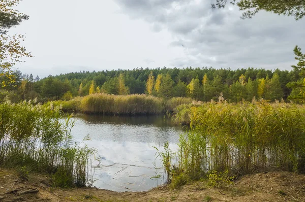 Kleiner See im Wald im Herbst — Stockfoto