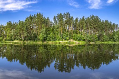 Forest lake with reflection in water. Summer relax background clipart