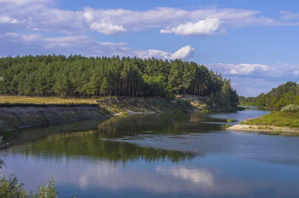 Schöner Fluss im grünen Wald. Landschaft mit bewölktem Himmel — Stockfoto