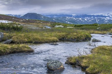 Norveç'te dağlarda Orman Nehri. Yürüyüş arka planı.