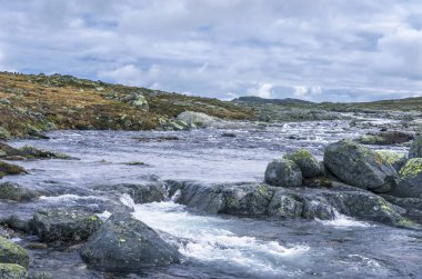 Norveç'te dağlarda Orman Nehri. Yürüyüş arka planı.