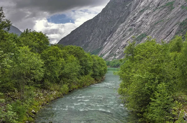 Forest River nas montanhas na Noruega. Caminhada de fundo . — Fotografia de Stock