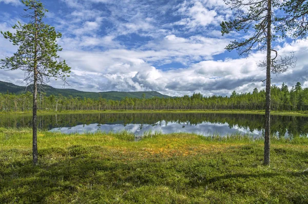 Lac forestier dans les montagnes en Norvège. Arrière-plan randonnée . — Photo
