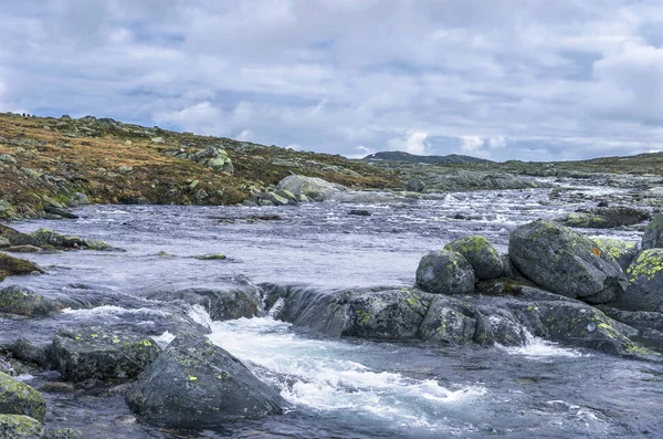 Norveç'te dağlarda Orman Nehri. Yürüyüş arka planı.