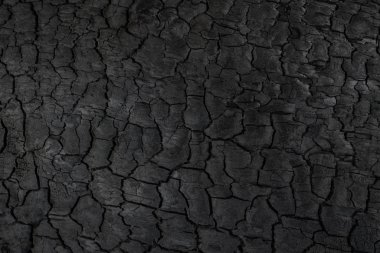 Odun kömürü dokusu. Yanmış ağaç. Siyah kömür arka plan