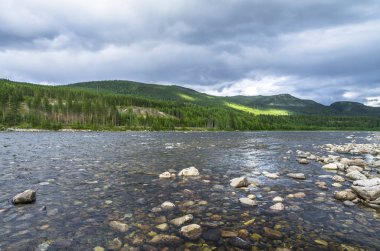 Norveç'te dağlarda Orman Nehri. Yürüyüş arka planı.