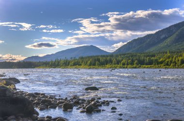 Norveç'te dağlarda Orman Nehri. Yürüyüş arka planı.