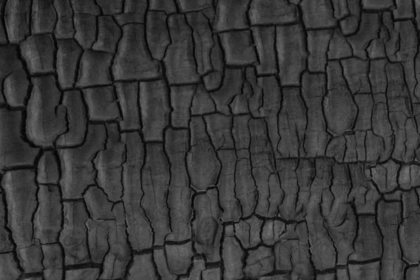 Wood charcoal texture. Burnt tree. Black coal background