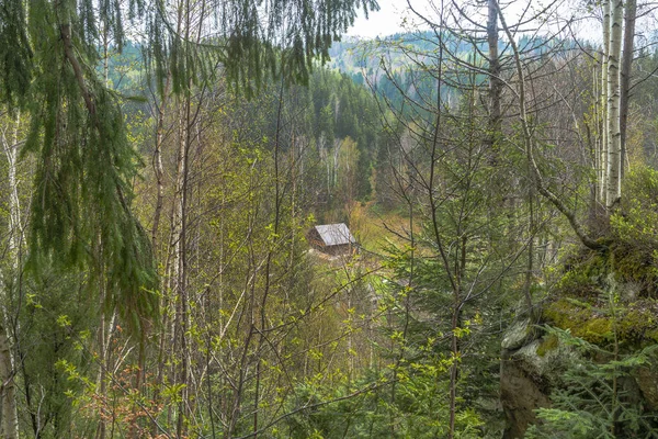 Kleiner Bauernhof im Bergwald — Stockfoto