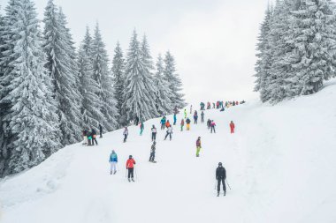 Ukrayna, Bukovel - 15 Aralık 2018. Dağ kayak yeri. Kar tepesinden bir sürü snowboardcu ve kayakçı geliyor. Kış Karpatları