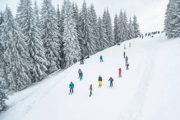 Ukrayna, Bukovel - 15 Aralık 2018. Dağ kayak yeri. Kar tepesinden bir sürü snowboardcu ve kayakçı geliyor. Kış Karpatları