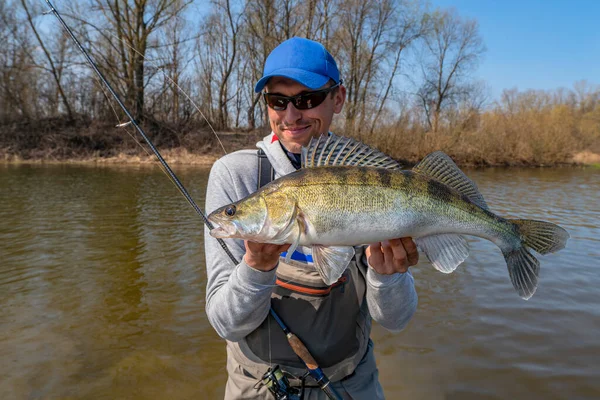 Happy fisherman with zander fish. Success walleye fishing at wild river