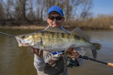 Zander Fish 'li mutlu balıkçı. Vahşi nehirde balıkçılık başarısı
