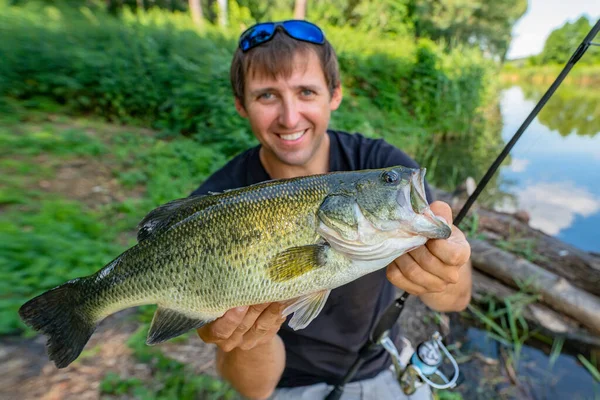 Bass Fishing Fisherman Holding Largemouth Perch Fish — Stock Photo, Image