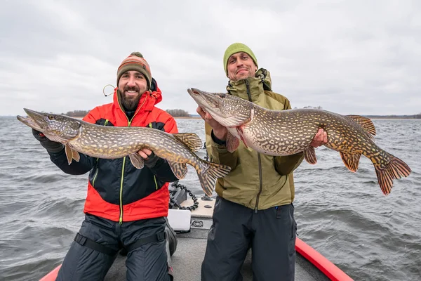 Erfolgreiches Hechtangeln Glückliche Zwei Fischer Mit Großer Fischtrophäe Boot — Stockfoto