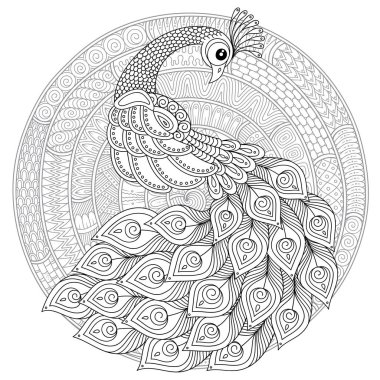 Anti stres için elle çizilmiş tavuskuşu yüksek Ayrıntılar, Boyama Page izole beyaz arka planda, zentangle tarzı resimde. Vektör tek renkli kroki. Kuş koleksiyonu.