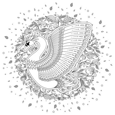 Elle çizilmiş tavus kuşu. Beyaz izole. Antistress boyama sayfası vektör tek renkli kroki.