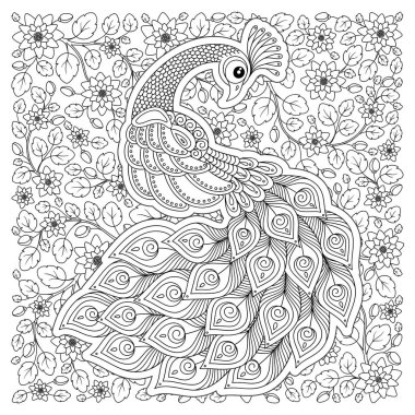 Tavus kuşu. Yetişkin antistress boyama sayfası. Siyah ve beyaz el boyama kitabı için çizilmiş doodle