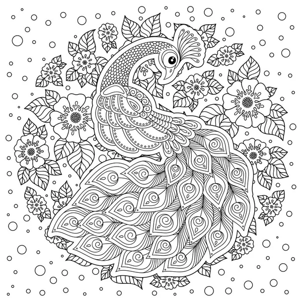 Zentangle tarzında peacock. Yetişkin antistress boyama sayfası. Siyah ve beyaz el boyama kitabı için çizilmiş doodle