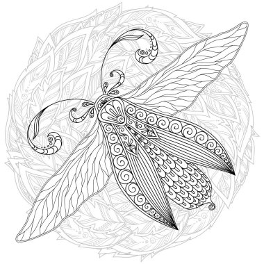 Bir güve detaylı süs kroki, elle çizilmiş zentangle için yetişkin anti stres. Beyaz arka plan üzerinde izole yüksek ayrıntılarla boyama sayfası. Zentangle model relax ve meditasyon için.