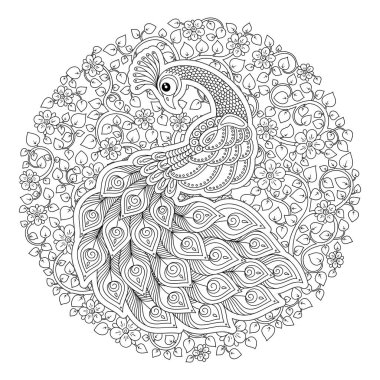 Anti stres için elle çizilmiş tavuskuşu yüksek Ayrıntılar, Boyama Page izole beyaz arka planda, zentangle tarzı resimde. Vektör tek renkli kroki. Kuş koleksiyonu.