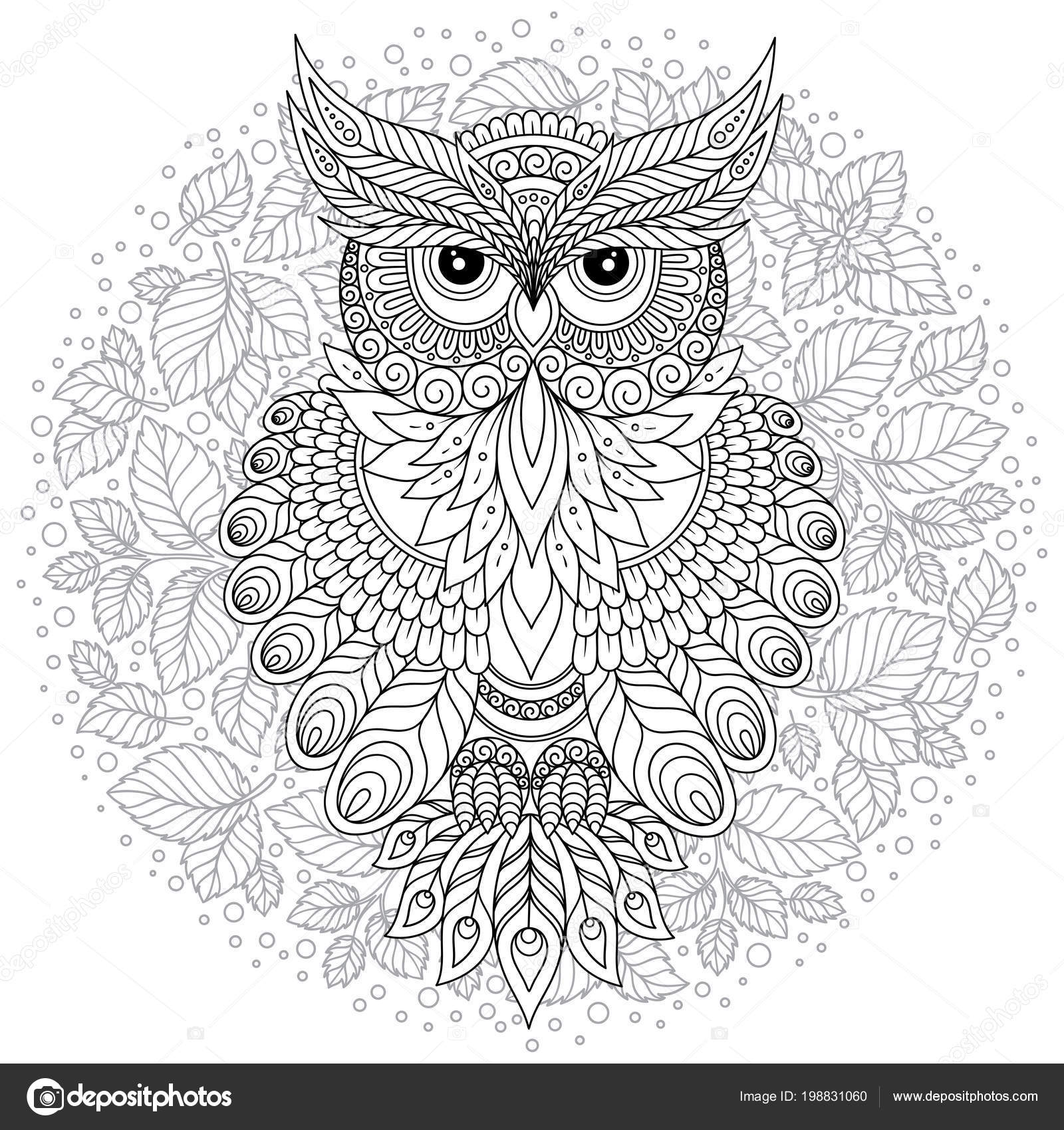 Coloring Books For Teens: Owls: Advanced Coloring Pages for Teenagers,  Tweens, Older Kids, Boys & Girls, Detailed Zendoodle Animal Designs, Crea  (Paperback)