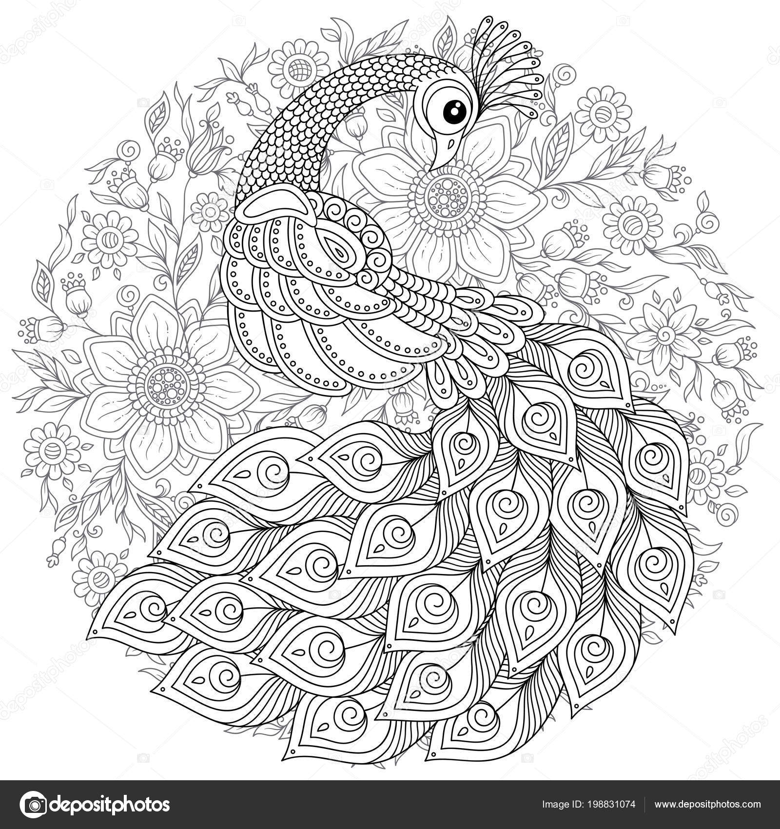 https://st4.depositphotos.com/1792872/19883/v/1600/depositphotos_198831074-stock-illustration-peacock-zentangle-style-adult-antistress.jpg