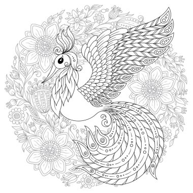 Anti stres için elle çizilmiş tavuskuşu yüksek Ayrıntılar, Boyama Page izole beyaz arka planda, zentangle tarzı resimde. Vektör tek renkli kroki. Kuş koleksiyonu.