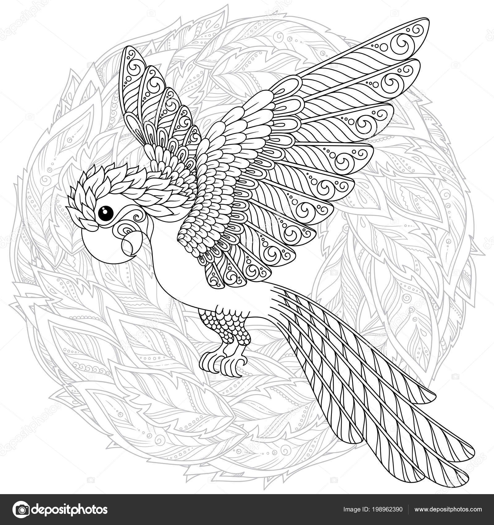 Papegaai Tropische Vogel Vectorillustratie Kleurboek Voor