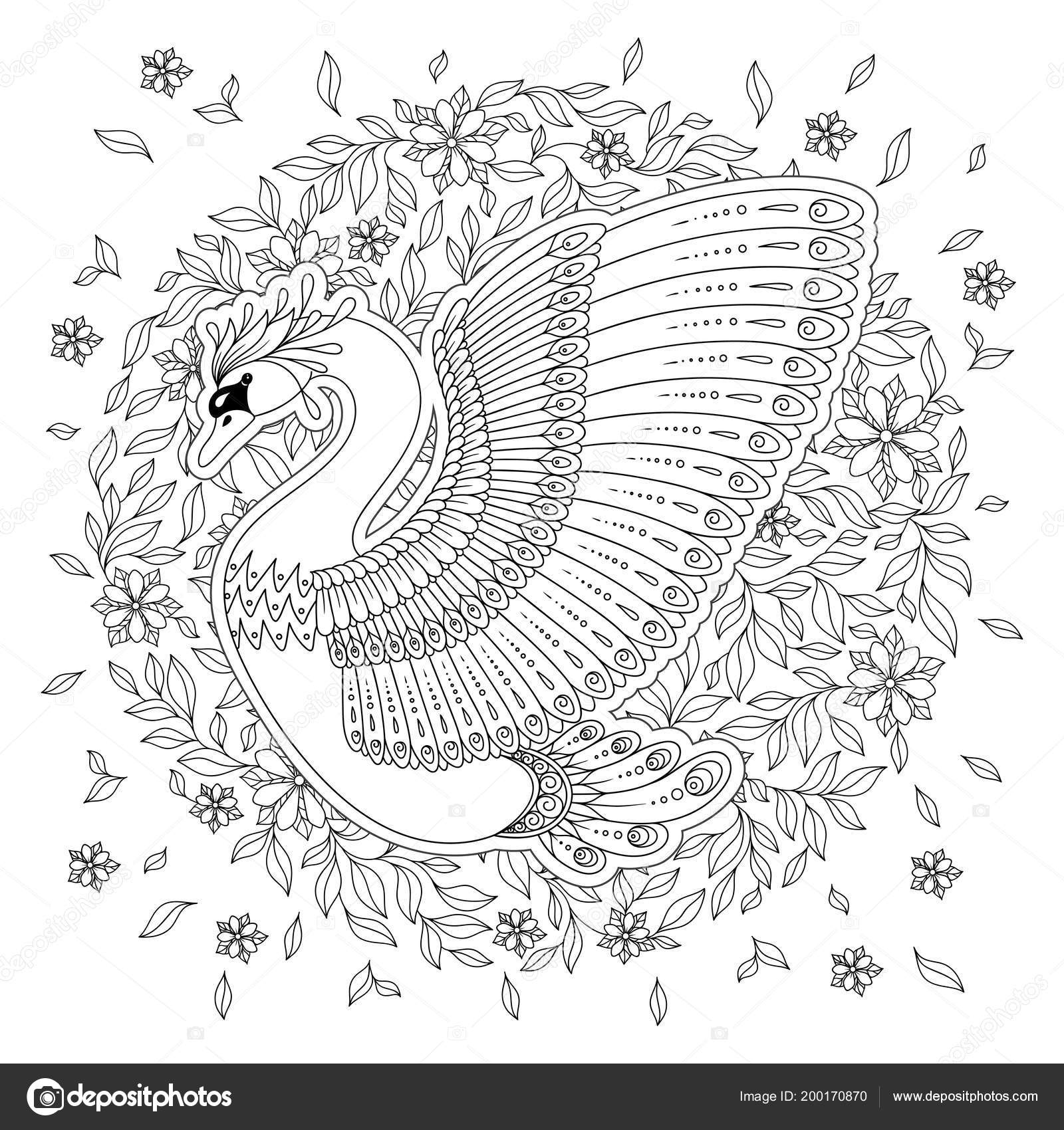Hand Drawing Artistic Swan Adult Coloring Pages Doodle