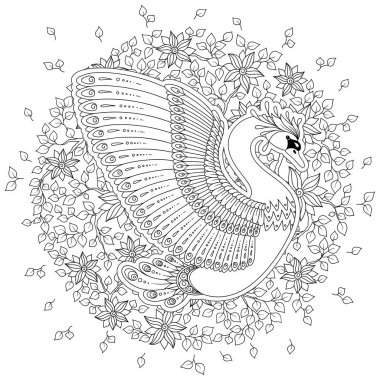 Elle çizilmiş tavus kuşu. Beyaz izole. Antistress boyama sayfası vektör tek renkli kroki.