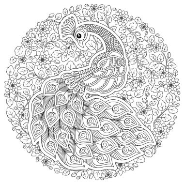 Tavus kuşu. Yetişkin antistress boyama sayfası. Siyah ve beyaz el boyama kitabı için çizilmiş doodle