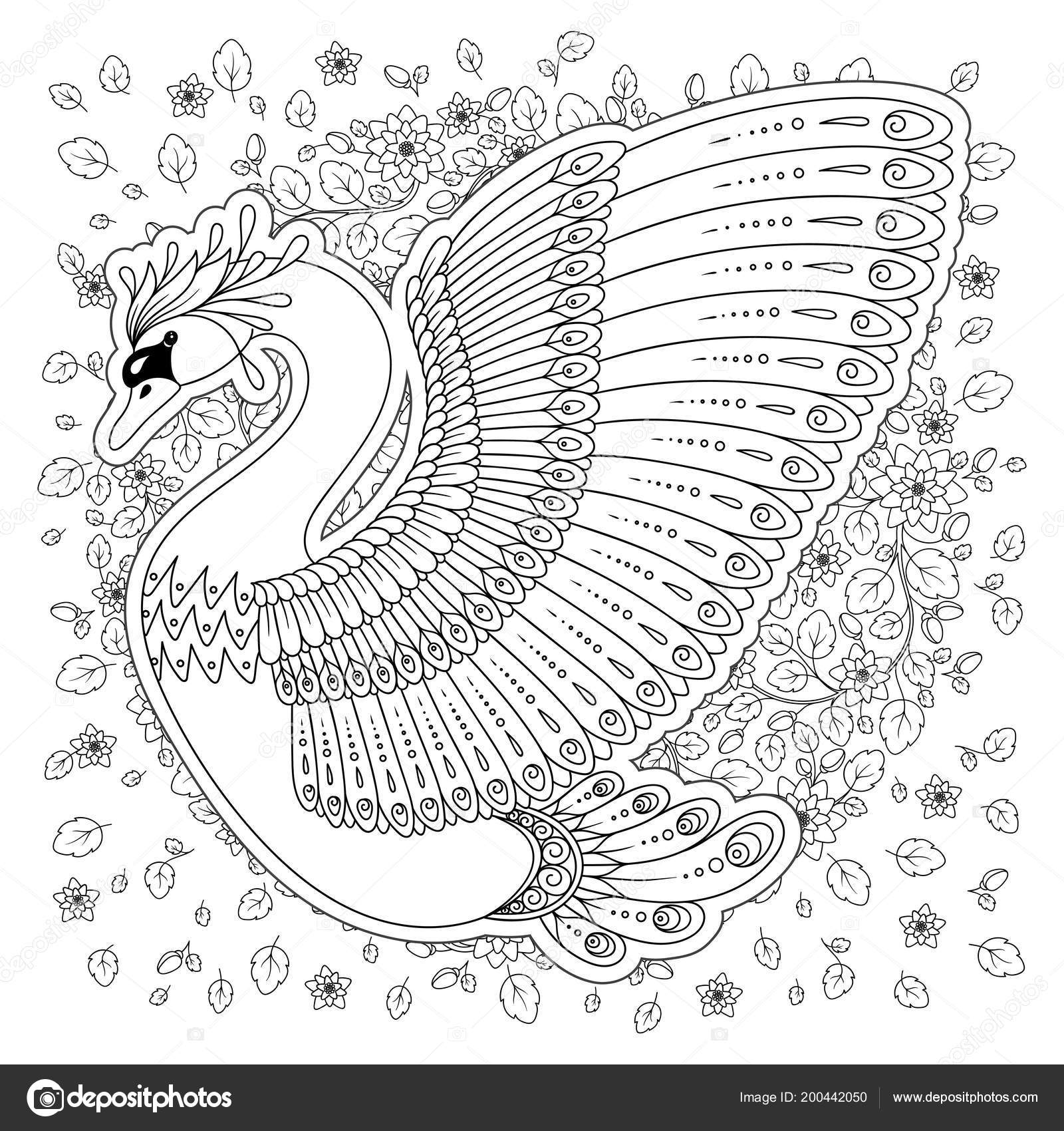Exotic Bird Fantastic Flowers Leaves Hand Drawing Artistic Swan Adult Stock Vector Image By C Karpenyuk 200442050
