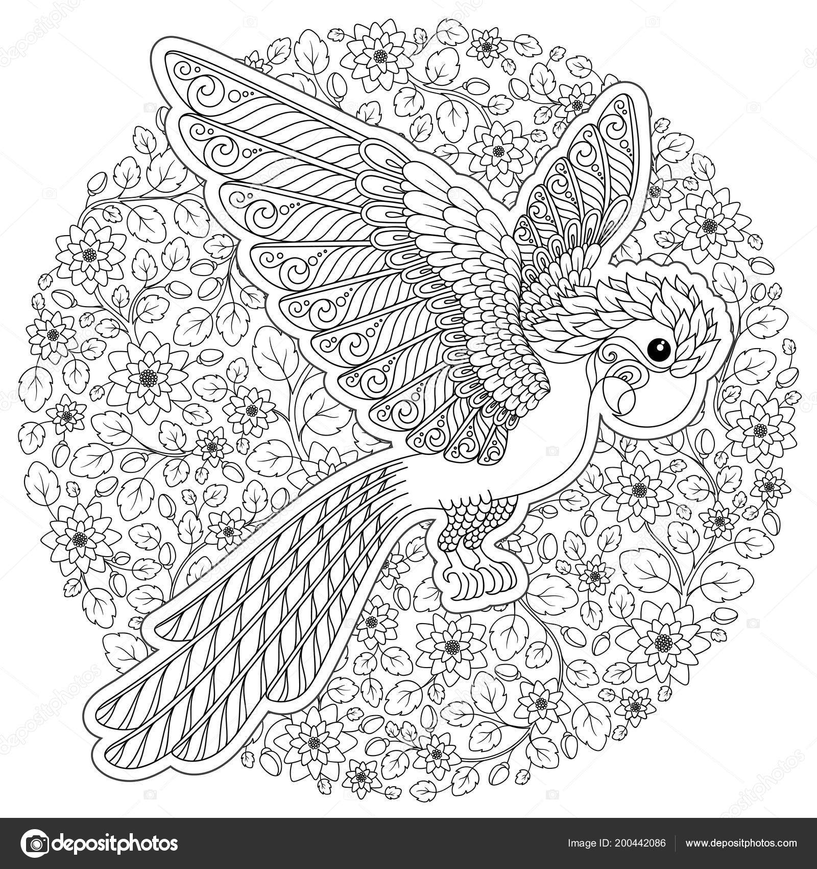 Desenho De Páginas Para Colorir Mandala Papagaio Ilustração