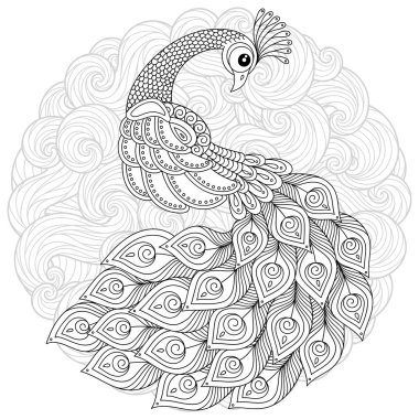 Anti stres için elle çizilmiş tavuskuşu yüksek Ayrıntılar, Boyama Page izole beyaz arka planda, zentangle tarzı resimde. Vektör tek renkli kroki. Kuş koleksiyonu.