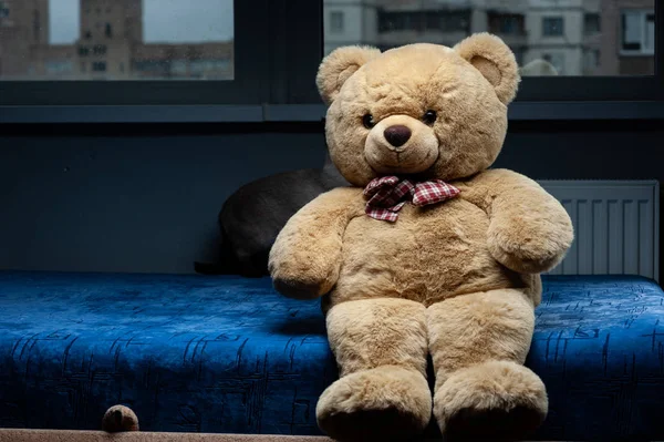 Teddy Urso Está Sentado Sofá — Fotografia de Stock
