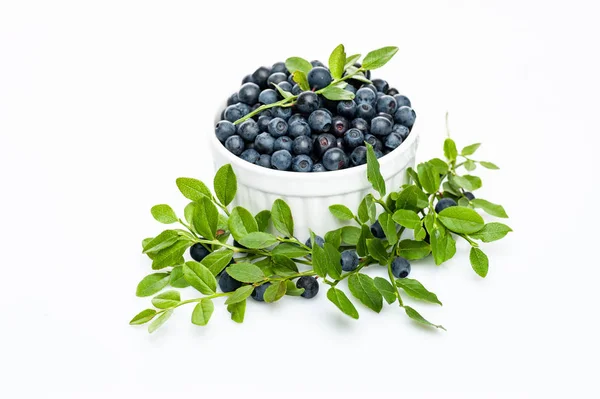 Blueberries Bowl Isolated White — Stock Photo, Image