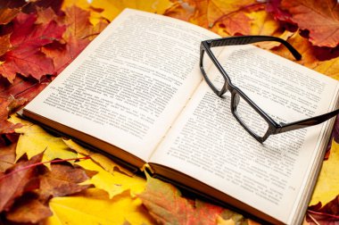 sonbahar kompozisyon. 