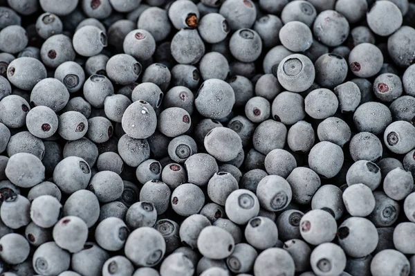 Mirtilos congelados cobertos por geada — Fotografia de Stock