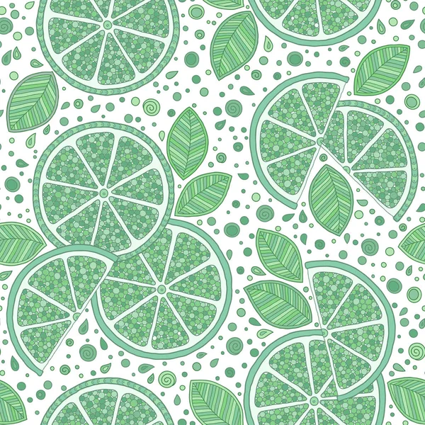 Lime with green leaves, slice citrus white background. — Stock Vector