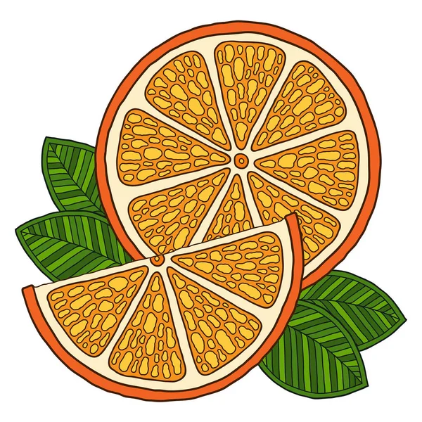 Naranja Doodle Ilustración Detallada Aislado Para Tarjetas Felicitación Impresión Camisetas Gráficos vectoriales